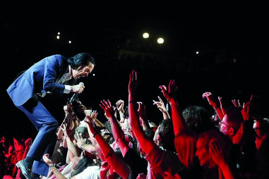 Nick Cave 