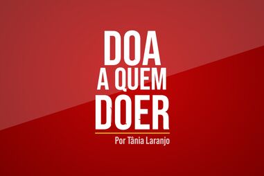 O mundo do tráfico de droga no Bairro da Pasteleira