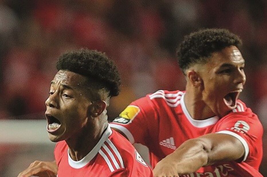 benfica, desporto, david neres