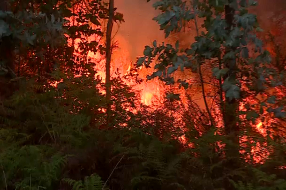 170 operacionais combatem duas frentes do fogo em Santo Tirso		