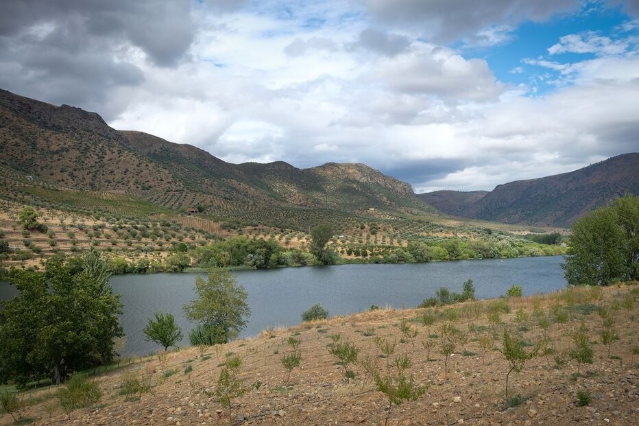 rio douro xx