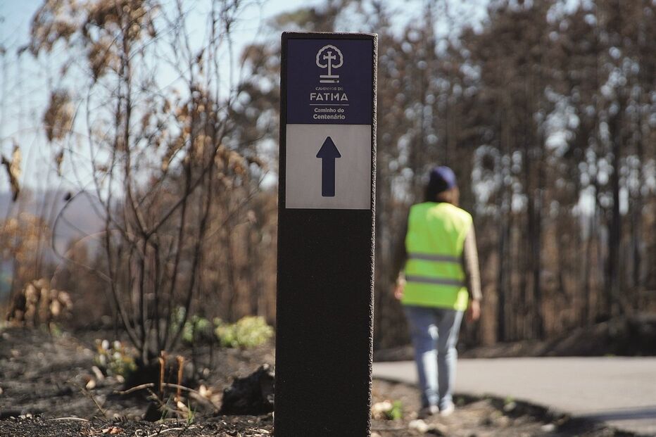 Peregrinos a caminho de Fátima
