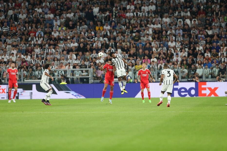 2022-09-14_20_09_34 LMN_4137.jpg