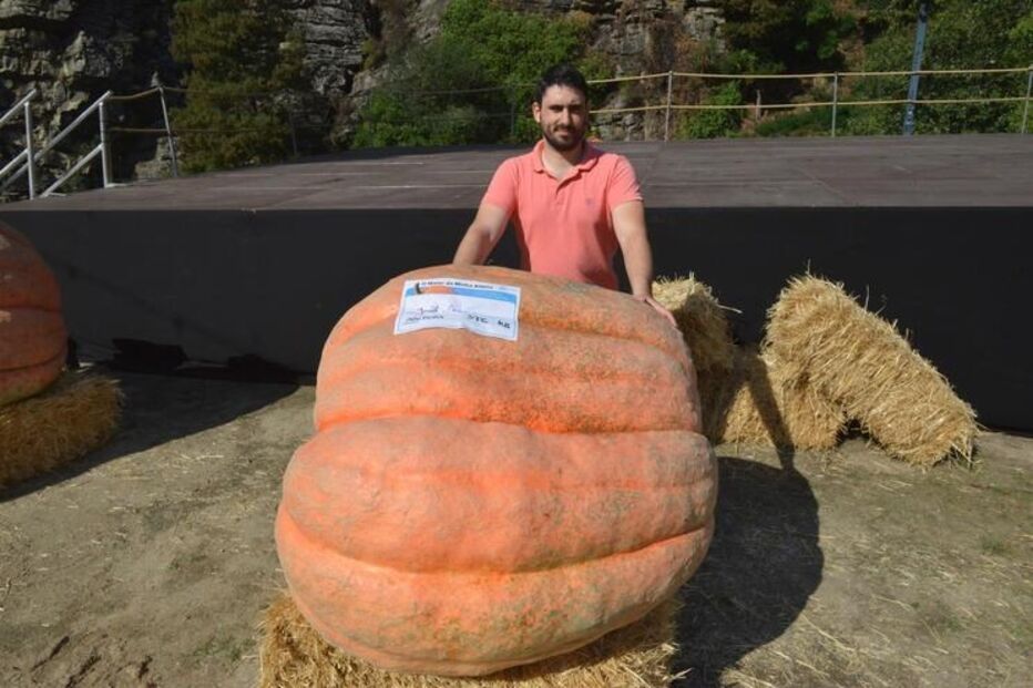 Abóbora de 372 quilos vence concurso ‘O maior da minha aldeia’