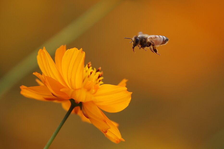 2022-09-19_18_10_03 2022-09-15T052438Z_858712202_RC2GHW9KIIT2_RTRMADP_3_SOUTHKOREA-DAILYLIFE.JPG