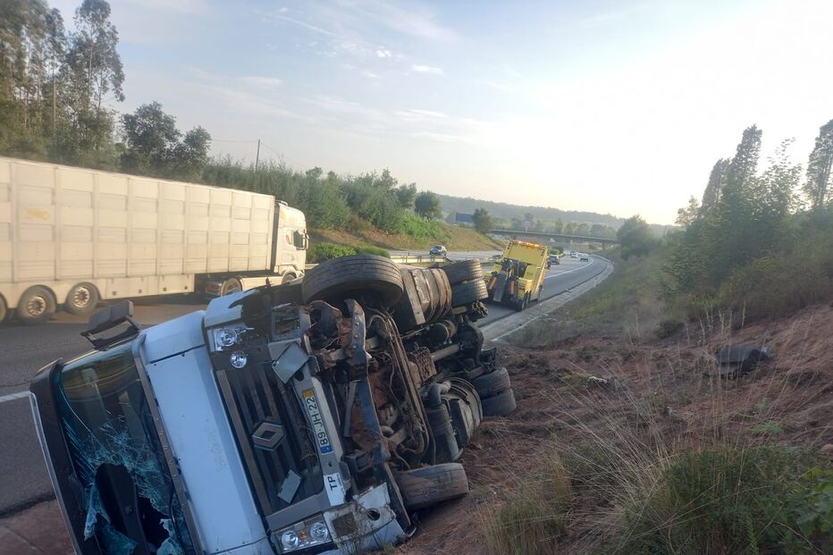 Despiste de Camião em Albergaria-a-Velha 
