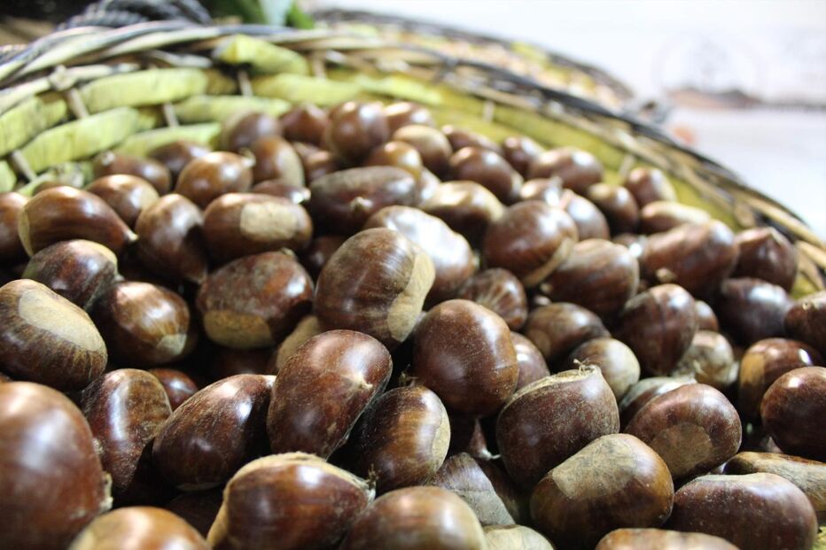 Quatro homens e duas mulheres detidos por roubo de castanhas 