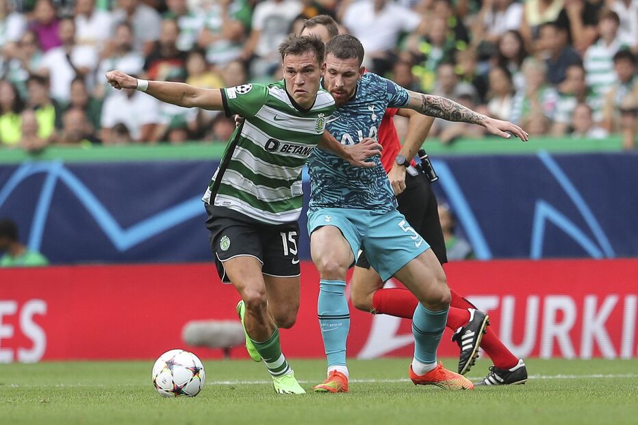 39412871.JPG (15378851) (Milenium)