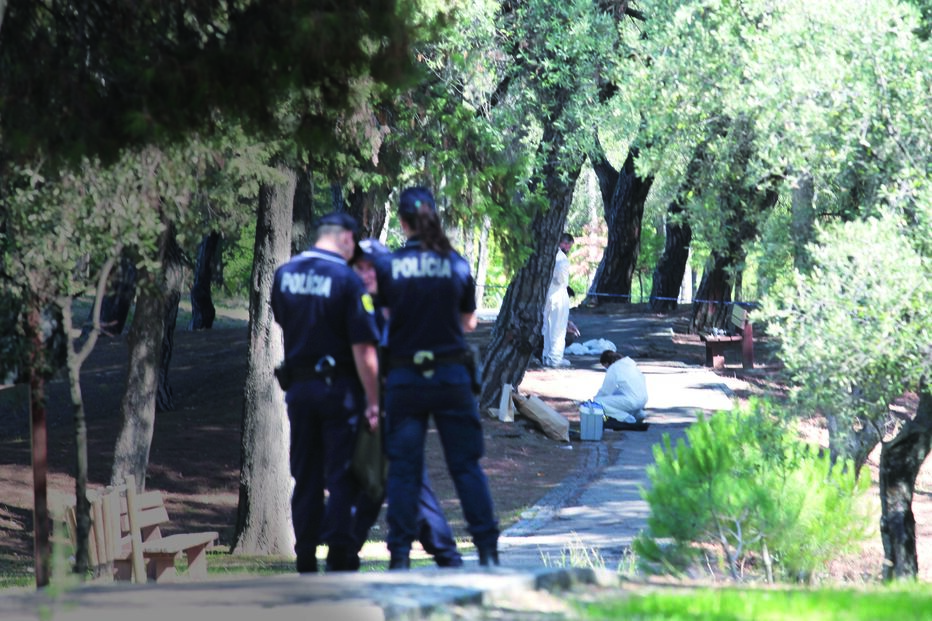 PJ recolhe indícios no terreno