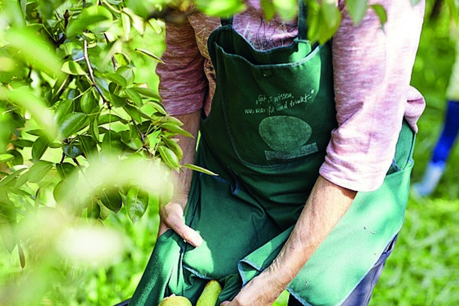 Peras vendidas com pesticidas