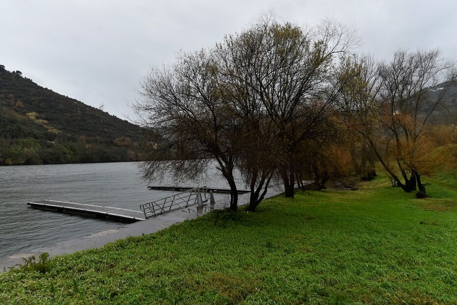 /fotospublicadas/Fotos/2-37732393 (15436861) (Milenium)