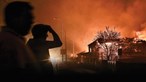 Há cinco anos um inferno de chamas dizimou a região Centro do País