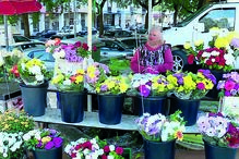 2022-10-31_21_13_01 _fotosgeral_Fotos_2-45264224 (15832618).jpg