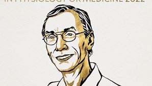 Prémio Nobel da Medicina atribuído ao sueco Svante Pääbo pelas descobertas através da análise de ADN extinto