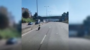 Carrinha perde pneus que galgam desgovernados até bomba de gasolina no IC19