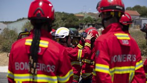 Mais de 120 bombeiros combatem fogo em empresa de Leiria
