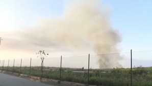 Incêndio lavra em fábrica de reciclagem em Vila Nova de Famalicão