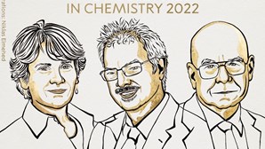 Prémio Nobel da Química atribuído a Carolyn R. Bertozzi, Morten Meldal e K. Barry Sharpless