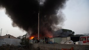 Dominado incêndio em armazéns de empresa em Leiria