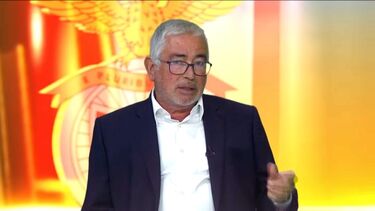 António Salvador: “Acho que Enzo está a viver momento de grande euforia”