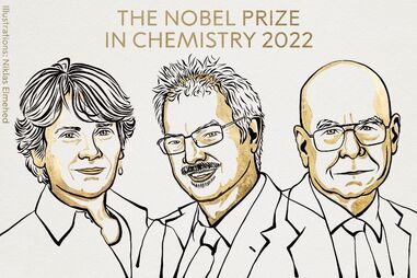 Prémio Nobel da Química