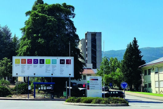 Suspeito de atirar ácido contra ex-namorada foi encontrado caído numa valeta e amarrado em Lamego