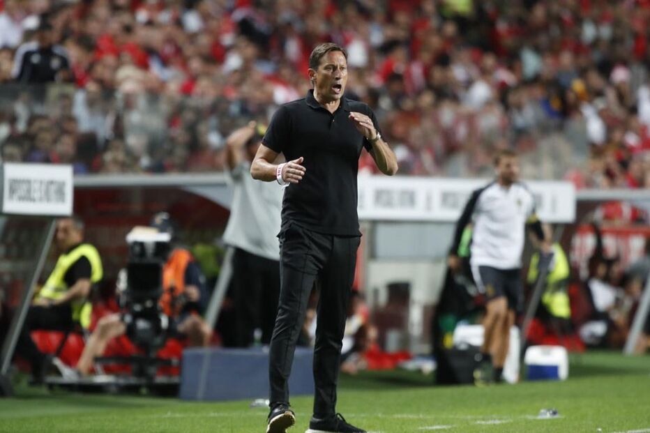 2022-09-07_10_47_01 schmidt.jpg