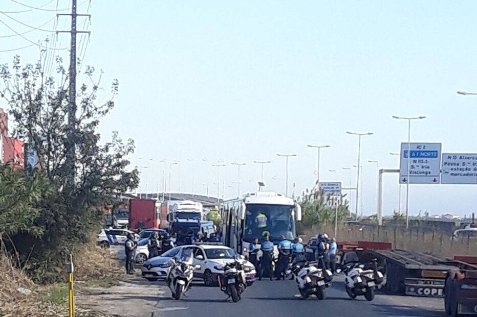 Imagem 20221012_103522A.JPG (15597003) (Milenium)