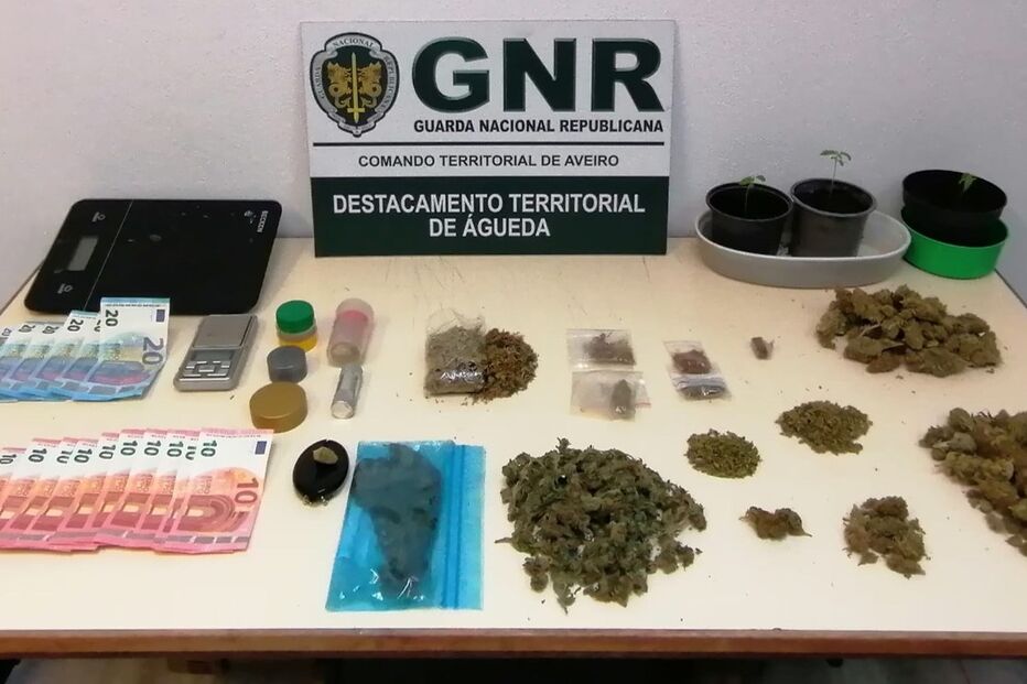 Jovem de 22 anos detido por suspeitas de tráfico de droga em Águeda 