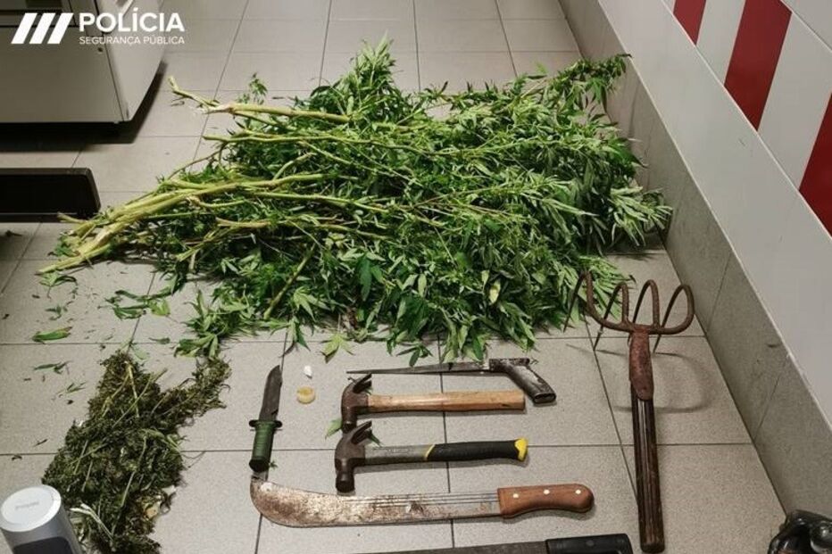 APREENSÃO DE ARMAS E ESTUPEFACIENTES  E DETENÇÃO DE 5 SUSPEITOS 