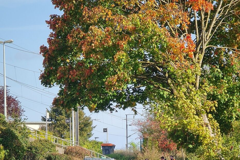 Ataque no Luxemburgo