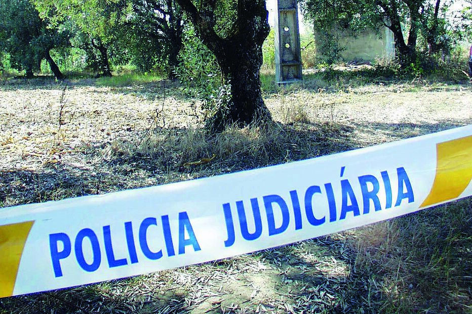 criança, violência doméstica, Sintra