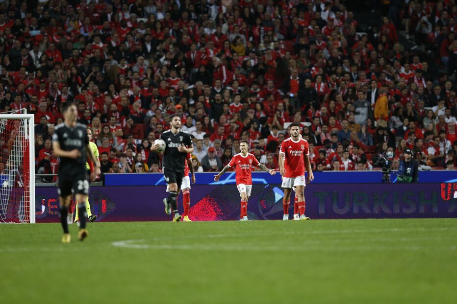 2022-10-25_21_47_44 _PCA3503.jpg