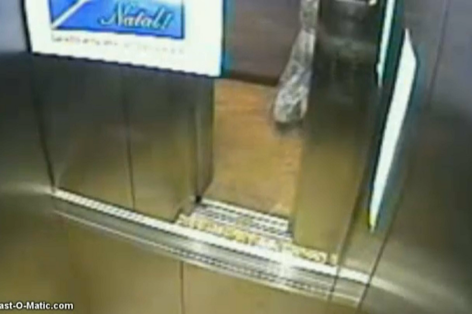 Herança de mil milhões de Lúcio Tomé Feteira está desaparecida