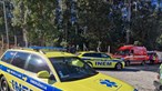 Homem morre após ser atingido por árvore em Oliveira de Azeméis