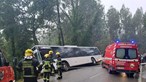 Colisão entre autocarro e camião faz um ferido em Santa Maria da Feira