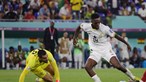 Guarda-redes Diogo Costa dispensado da Seleção Nacional