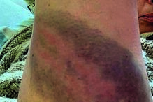 Imagens que Susana da Silva apresentou