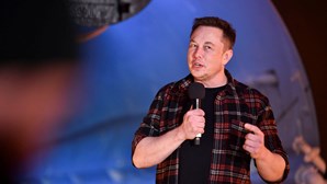Elon Musk quer que chip cerebral comece a ser testado em humanos dentro seis meses