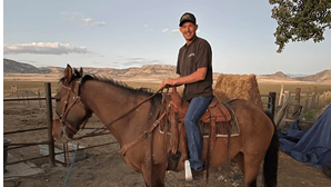 Cavalo encontrado depois de oito anos desaparecido
