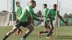 Amorim projeta nova vida do Sporting após período de miniférias
