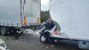 Homem de 50 anos morre em violenta colisão entre dois camiões em Santa Maria da Feira