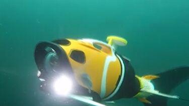 Negócios rentáveis e sustentáveis: Tudo sobre a 5ª edição do Blue Bio Value Acceleration 2022