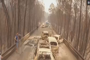 Associação de vítimas assinala oito anos da tragédia dos incêndios de Pedrógão Grande