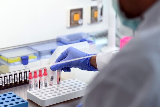 Laboratório; sangue