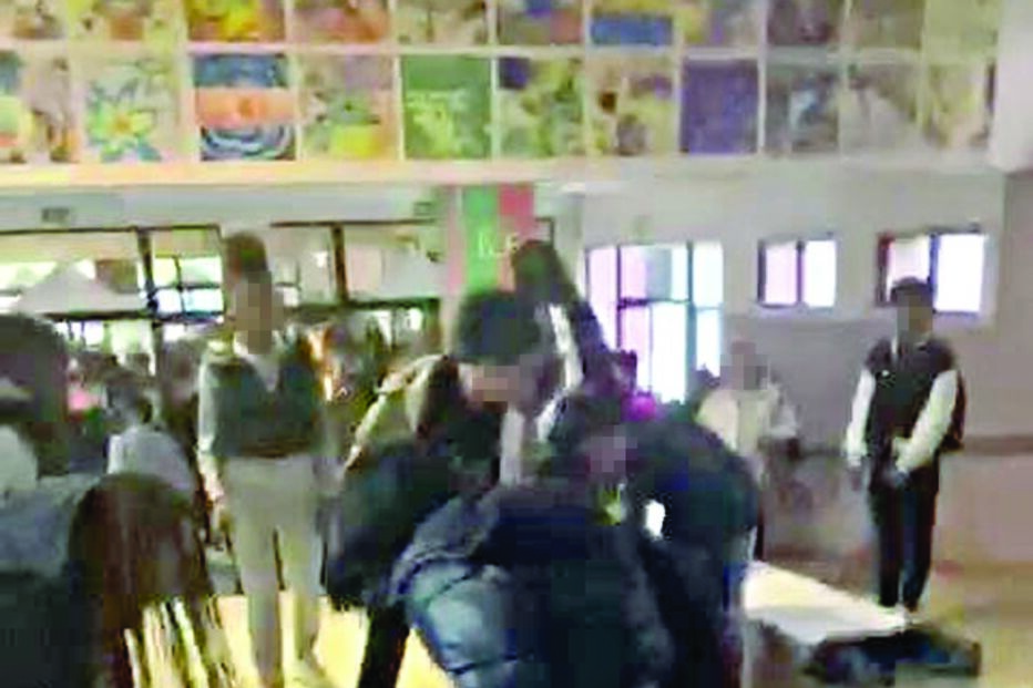 violência, escola, PSP, Escola Secundária D. Manuel Martins, Setúbal, rixa