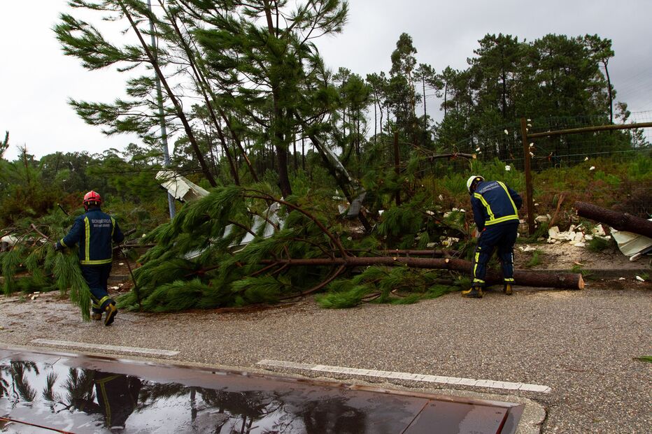 Danos Marinha Grande