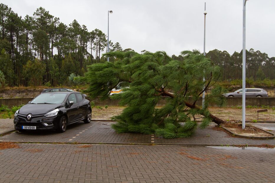 Danos Marinha Grande