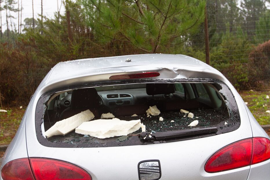 Danos Marinha Grande