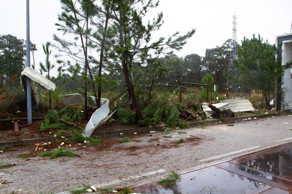 Danos Marinha Grande